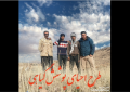 طرح احیای پوشش گیاهی در روستای باغان طرح احیای پوشش گیاهی در روستای باغان