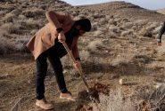 آغاز پویش ملی بذرکاری برای احیای پوشش های گیاهی در شهرستان کوار