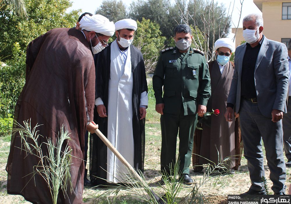 کاشت و توزیع 2900 اصله نهال در شهرستان کوار در روز درختکاری
