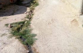 نارضایتی مردم از آسفالت نبودن برخی خیابان‌ها و کوچه‌های شهر کوار