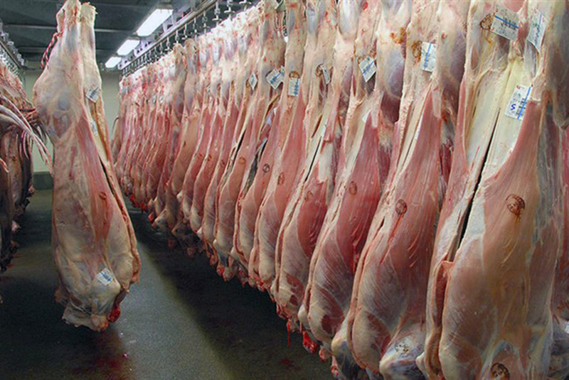 سالانه بیش از ده هزار تن گوشت قرمز در کوار تولید می شود