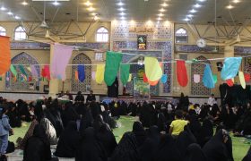 گزارش تصویری از جشن میلاد امام رضا(ع) در شهر اکبرآباد