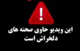 هشدار این ویدئو حاوی تصاویر دلخراش است.