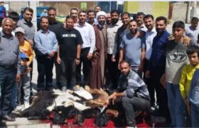 قربانی پنج رأس دام در اکبرآباد برای سلامتی مردم و رانندگان