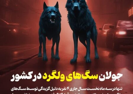 جولان سگ‌های ولگرد در کشور