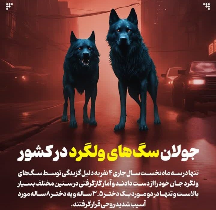 جولان سگ‌های ولگرد در کشور