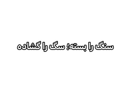 سنگ را بسته؛ سگ را گشاده