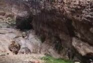 زیباترین جلوه رحمت خدا در اکبرآباد