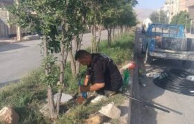 خیابان شهید بردبار، واقع در سی متری ارتش
