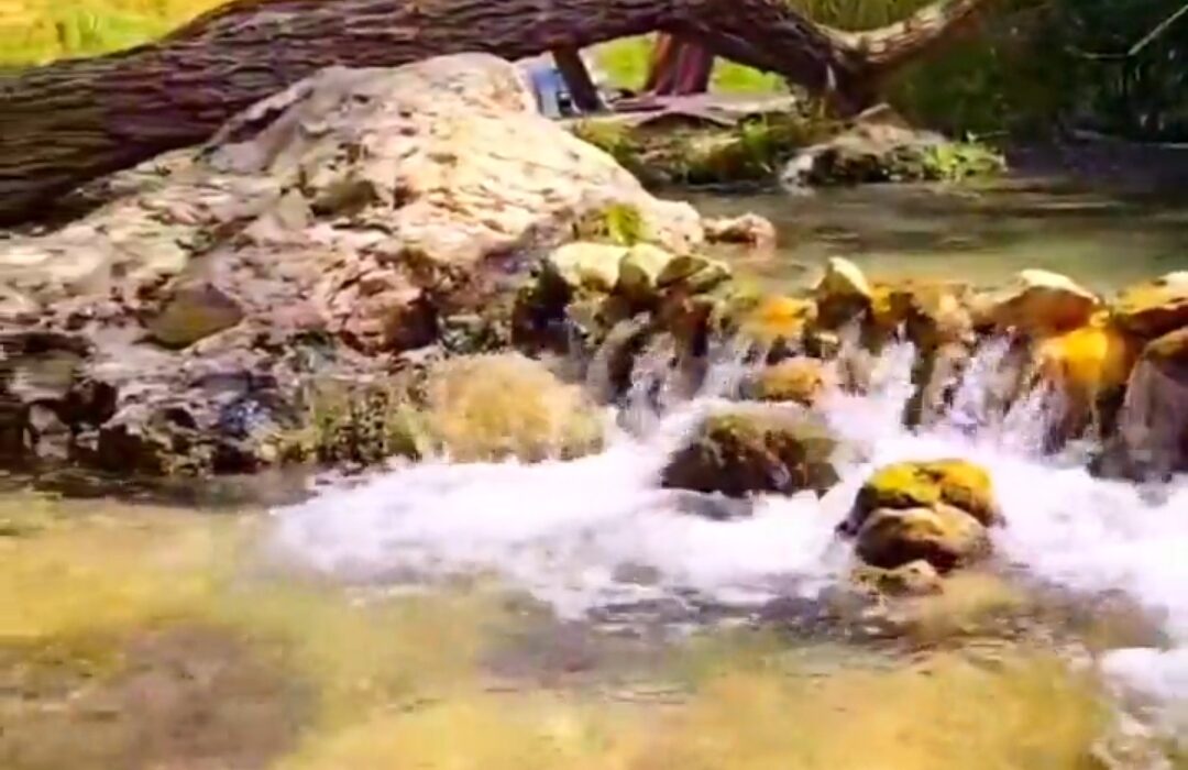 طبیعت زیبای چشمهٔ زنجیران ،تابستان ۱۴۰۴