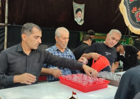 خدمت‌رسانی موکب سیدالشهدای اکبرآباد به زائران امام رضا(ع) در مشهد مقدس