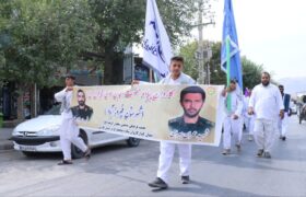 کاروان پیاده‌روی شاهچراغِ فیروزآباد امروز صبح وارد کوار شد /عکس