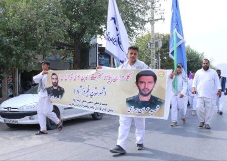 کاروان پیاده‌روی شاهچراغِ فیروزآباد امروز صبح وارد کوار شد /عکس
